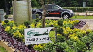 garden landscapes and maintenance services
