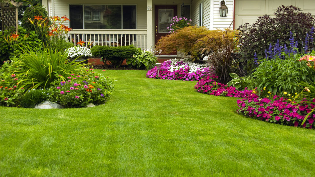 lawn maintenance, gardeners, gardening and landscaping services