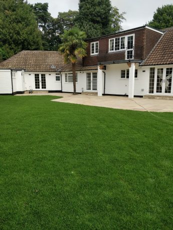 Landscaping, Gardening and Garden Maintenance Services, Guildford, Weybridge, Woking and Surrey